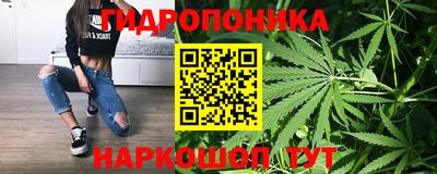прущие крисы Гусев