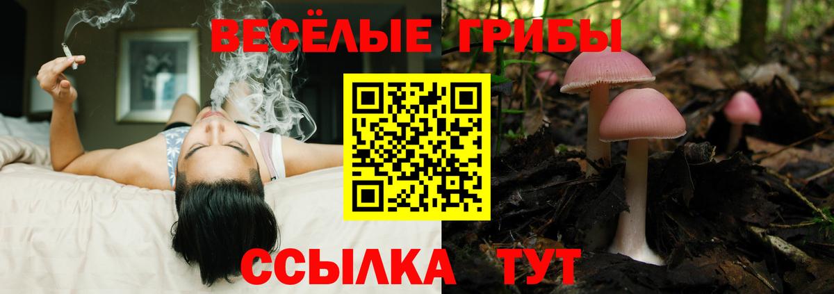 купить наркотики цена  Галлюциногенные грибы ЛСД  Нефтекамск  Вход с VPN  Псилоцибиновые грибы Magic Shrooms 
